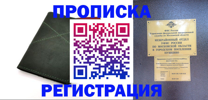 прописка в квартире в Лосино-Петровском